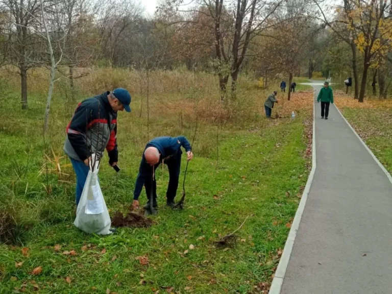 Membri UPRM plantând puieți pe Aleea Seniorilor din Parcul La Izvor, Chișinău