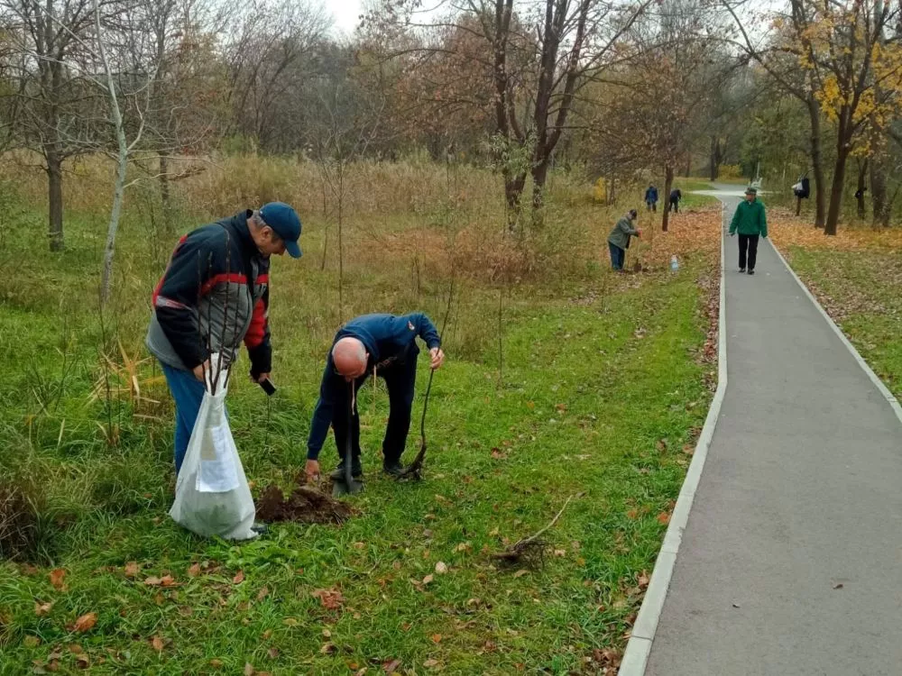 Membri UPRM plantând puieți pe Aleea Seniorilor din Parcul La Izvor, Chișinău